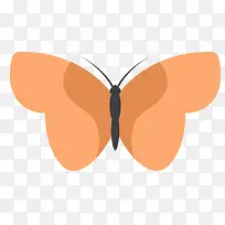 对称蝴蝶矢量纯色标本-空若网 对称蝴蝶矢量纯色标本-空若网