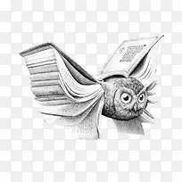 �����ֻ�-������