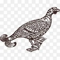 卡通创意民族风动物装饰海报设计-空若网 卡通创意民族风动物装饰海报设计-空若网