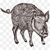 ��ͨ��������綯��װ�κ������-������