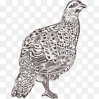 卡通创意民族风动物装饰海报设计-空若网 卡通创意民族风动物装饰海报设计-空若网