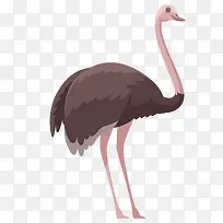 ��ͨ�ɰ�С����װ�ζ���ͷ��-������