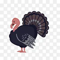 卡通鸵鸟PNG下载-空若网 卡通鸵鸟PNG下载-空若网