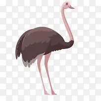 ��ͨ�ɰ�С����װ����ƶ���ͷ��-������