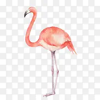 卡通可爱小动物装饰动物头像-空若网 卡通可爱小动物装饰动物头像-空若网