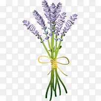 ��ɫǳɫ��ͨ޹�²�-������