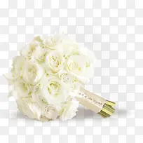 ��ɫ����õ�廨-������