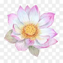 ��Ǧ�ֻ�ɻ�-������