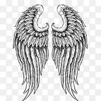 手绘双翅-空若网 手绘双翅-空若网