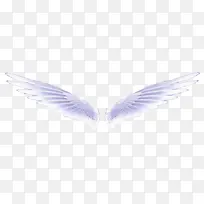 һ�Գ������ز�-������