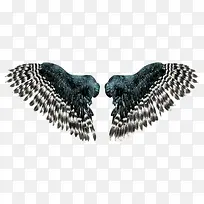 ºÚÉ«³á°ò-¿ÕÈôÍø ºÚÉ«³á°ò-¿ÕÈôÍø