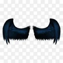 黑色羽翼-空若网 黑色羽翼-空若网