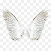 一对白色的翅膀-空若网 一对白色的翅膀-空若网