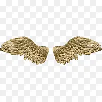 金色翅膀-空若网 金色翅膀-空若网