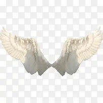 一对白色的翅膀-空若网 一对白色的翅膀-空若网