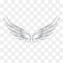 一对翅膀-空若网 一对翅膀-空若网