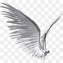 一对翅膀-空若网 一对翅膀-空若网