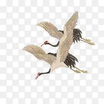 一对仙鹤-空若网 一对仙鹤-空若网