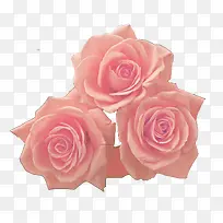 花朵抽象鲜花素材-空若网 花朵抽象鲜花素材-空若网