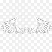 �ԳƷ��ʸ����ͨ���-������