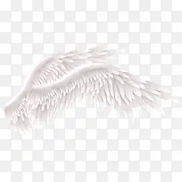 ��è�Ա������װ�γ��-������