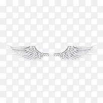 ÑïÆðµÄʸÁ¿°×É«ÓðÒí-¿ÕÈôÍø ÑïÆðµÄʸÁ¿°×É«ÓðÒí-¿ÕÈôÍø