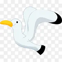 海鸥png矢量素材-空若网 海鸥png矢量素材-空若网