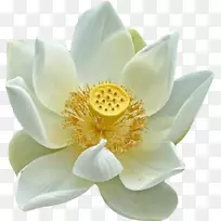 ������������������-������