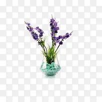 插画的瓶子-空若网 插画的瓶子-空若网