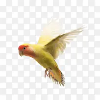 Æð·ÉµÄðÐðÄ-¿ÕÈôÍø Æð·ÉµÄðÐðÄ-¿ÕÈôÍø