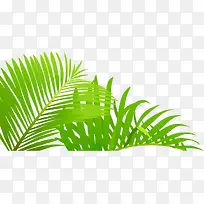 叶片-空若网 叶片-空若网