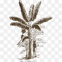 ��ҶƬ��ͨ���ʸ���㽶��-������