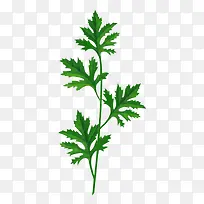 �ֻ氬Ҷ-������