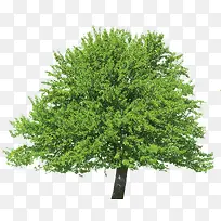 ɡ״׶�ε���-������