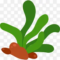 ����������ɫ����-������