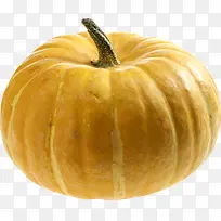 ��ɫ���Ϲ�-������