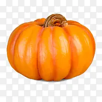 ��ɫ�Ϲ�-������