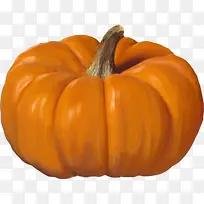 橙色南瓜-空若网 橙色南瓜-空若网
