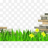 墙体与绿草黄花-空若网 墙体与绿草黄花-空若网