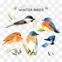 水墨色彩小鸟素材图-空若网 水墨色彩小鸟素材图-空若网