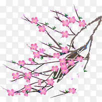 梅花-空若网 梅花-空若网