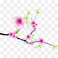 梅花-空若网 梅花-空若网