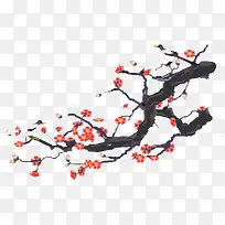 梅花-空若网 梅花-空若网