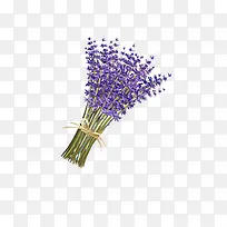 Ò»Êø×Ïɫ޹ÒÂ²ÝÆ¯¸¡Í¼°¸-¿ÕÈôÍø Ò»Êø×Ïɫ޹ÒÂ²ÝÆ¯¸¡Í¼°¸-¿ÕÈôÍø