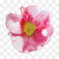 �ֻ�ˮ�ʴ�컨-������