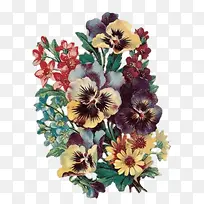 �ֻ滨��Ӱ�ֻ��ز�-������