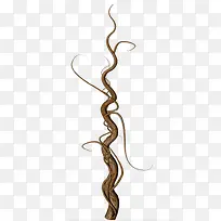 免抠素材藤蔓图片-空若网 免抠素材藤蔓图片-空若网