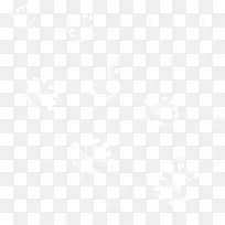 漂亮白色枝叶-空若网 漂亮白色枝叶-空若网