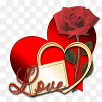 ���˽��ļ�����-�������-������