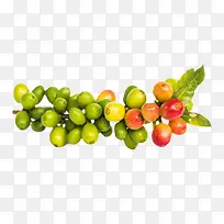 ��ɫïʢ�Ŀ��ȹ�ʵ��-������